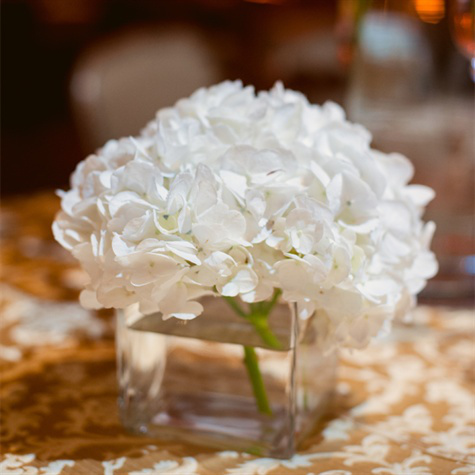 Location centre de table vase cube 8x8cm Location centre de table vase cube 8x8cm