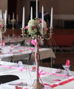 Location Chandelier 5 branches H 80cm argent
