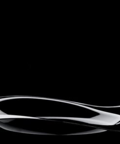 12 assiette design noir en plastique vaisselle reutilisable