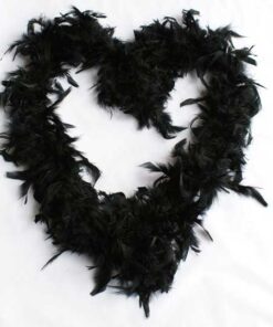 Boa en plumes noir