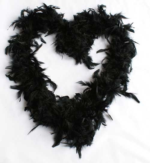 Boa en plumes noir Boa en plumes noir