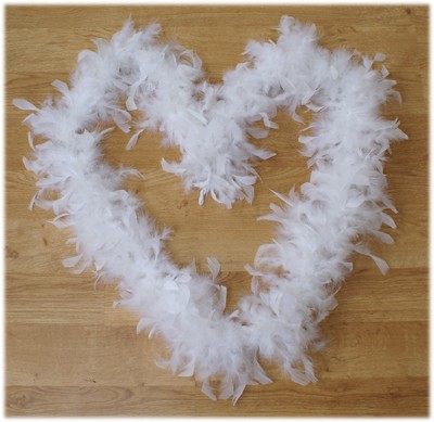 Boa blanc déco en plumes Boa blanc déco en plumes