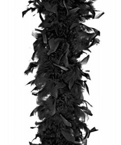 Boa en plumes noir