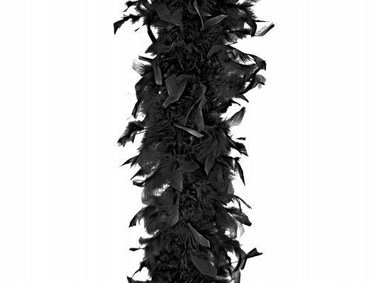 Boa en plumes noir Boa en plumes noir