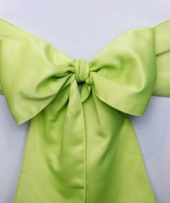 10 noeud de chaise vert anis tissu satin