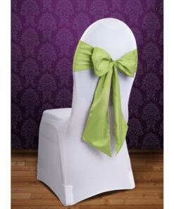 10 noeud de chaise vert anis tissu satin