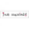 Plaque voiture Just Married comique mariage