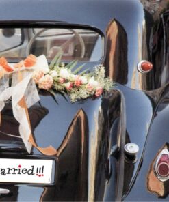 Plaque voiture Just Married comique mariage