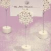 Flocon de neige, porte nom menu photo