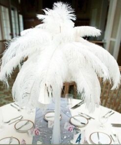 Location plumes d'autruche blanche centre de table