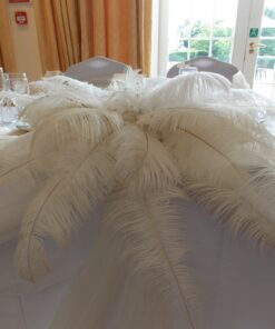 Location plumes d'autruche blanche centre de table