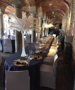 Location plumes d'autruche blanche centre de table