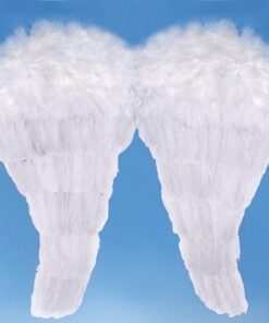 grandes ailes d'anges plumes blanches 52x 45cm