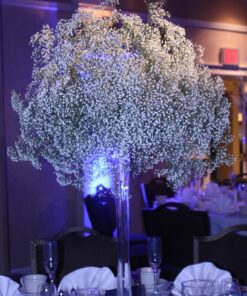 LOCATION vase trompette soliflore H80 cm