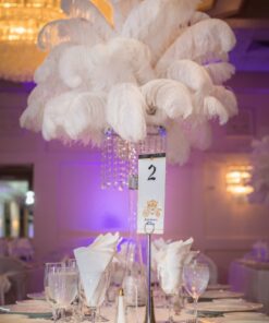 Plumes naturelle d'autruche blanche 50-60cm