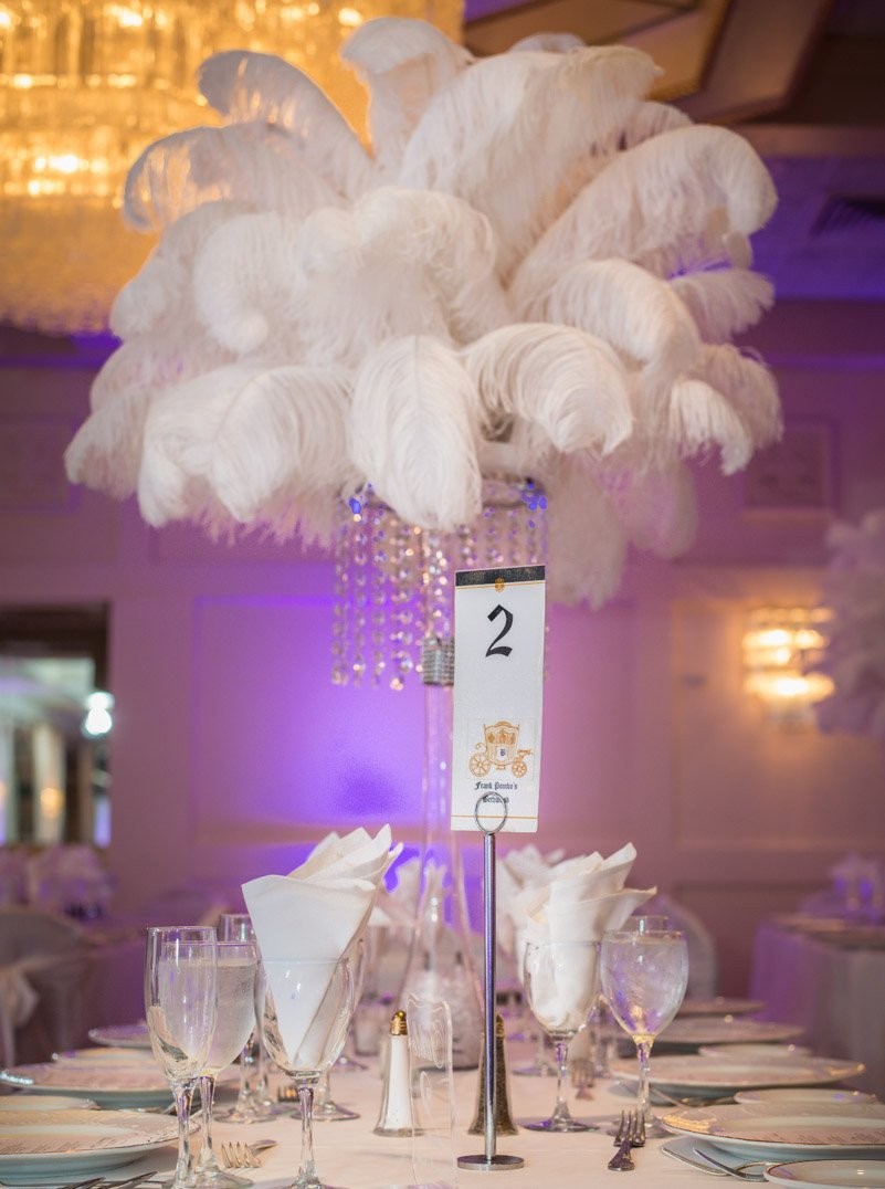 Plumes naturelle d'autruche blanche 50-60cm Plumes naturelle d'autruche blanche 50-60cm