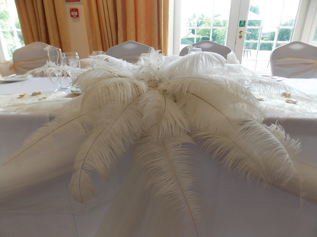 Plumes naturelle d'autruche blanche 50-60cm Plumes naturelle d'autruche blanche 50-60cm