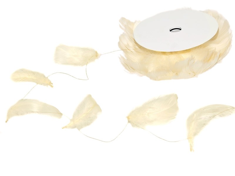 Ruban guirlande de plumes naturel ivoire creme 10M Ruban guirlande de plumes naturel ivoire creme 10M