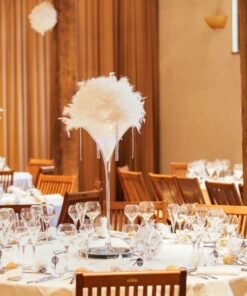 Location boule de plumes 30 cm blanc