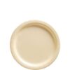 20 assiettes à dessert carton ivoire vanille