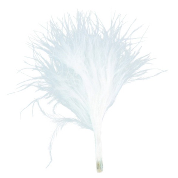 20 plumes blanches 7cm 20 plumes blanches 7cm