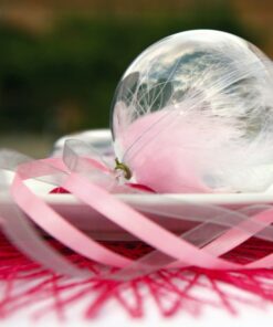 1 boule déco transparente en plexi 10 cm