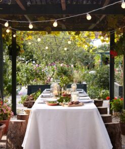 Location lampes guirlande LED blanche guinguette 5M