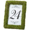 Location cadre photo mousse herbe gazon vert artificiel