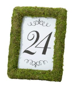 Location cadre photo mousse herbe gazon vert artificiel