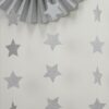 Guirlande étoile paillettes argent 5M