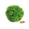 LOCATION boule décorative herbe gazon vert