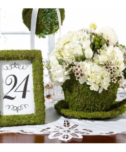 Location cadre photo mousse herbe gazon vert artificiel
