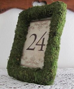 Location cadre photo mousse herbe gazon vert artificiel
