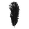 Location plumes d'autruche noir centre de table