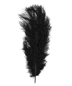 Location plumes d'autruche noir centre de table