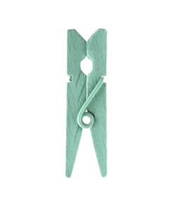 24 mini pinces en bois vert menthe pastel