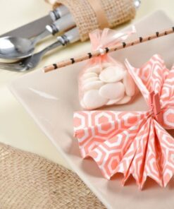 24 mini pinces en bois corail attache carte photo