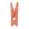 24 mini pinces en bois corail attache carte photo