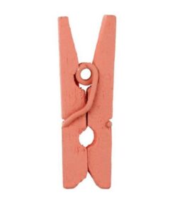 24 mini pinces en bois corail attache carte photo
