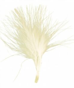 20 petites plumes ivoire 7cm plumettes