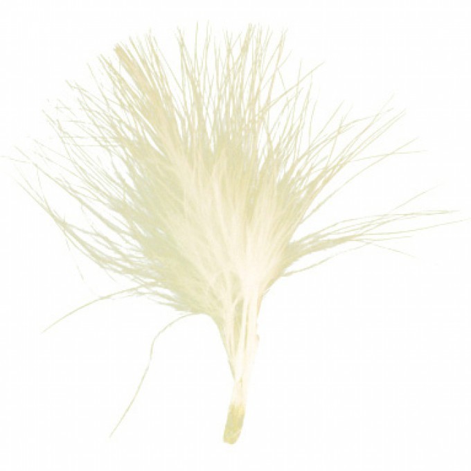 20 petites plumes ivoire 7cm plumettes 20 petites plumes ivoire 7cm plumettes