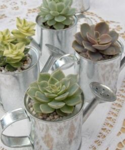 Petit arrosoir zinc déco mariage champêtre