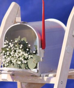 Location tirelire mariage boîte aux lettres américaine USA