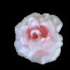 Location grosse fleur rose pâle en tissu avec pince
