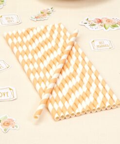 25 pailles rayées pêche pastel et blanc