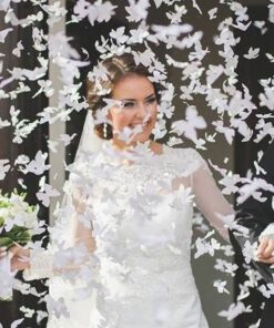 Canon à confettis mariage papillon 40cm