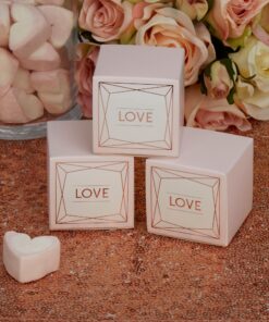 10 boîtes dragées cubes 