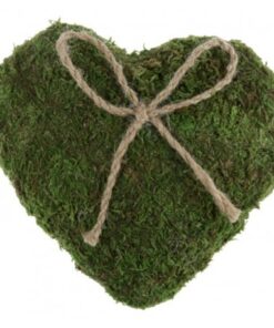 Coussin alliances coeur déco mousse vert vegetal