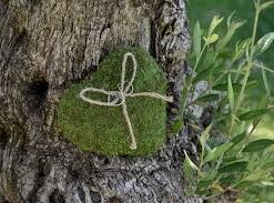 Coussin alliances coeur déco mousse vert vegetal