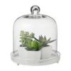 Location cloche en verre avec plateau métal